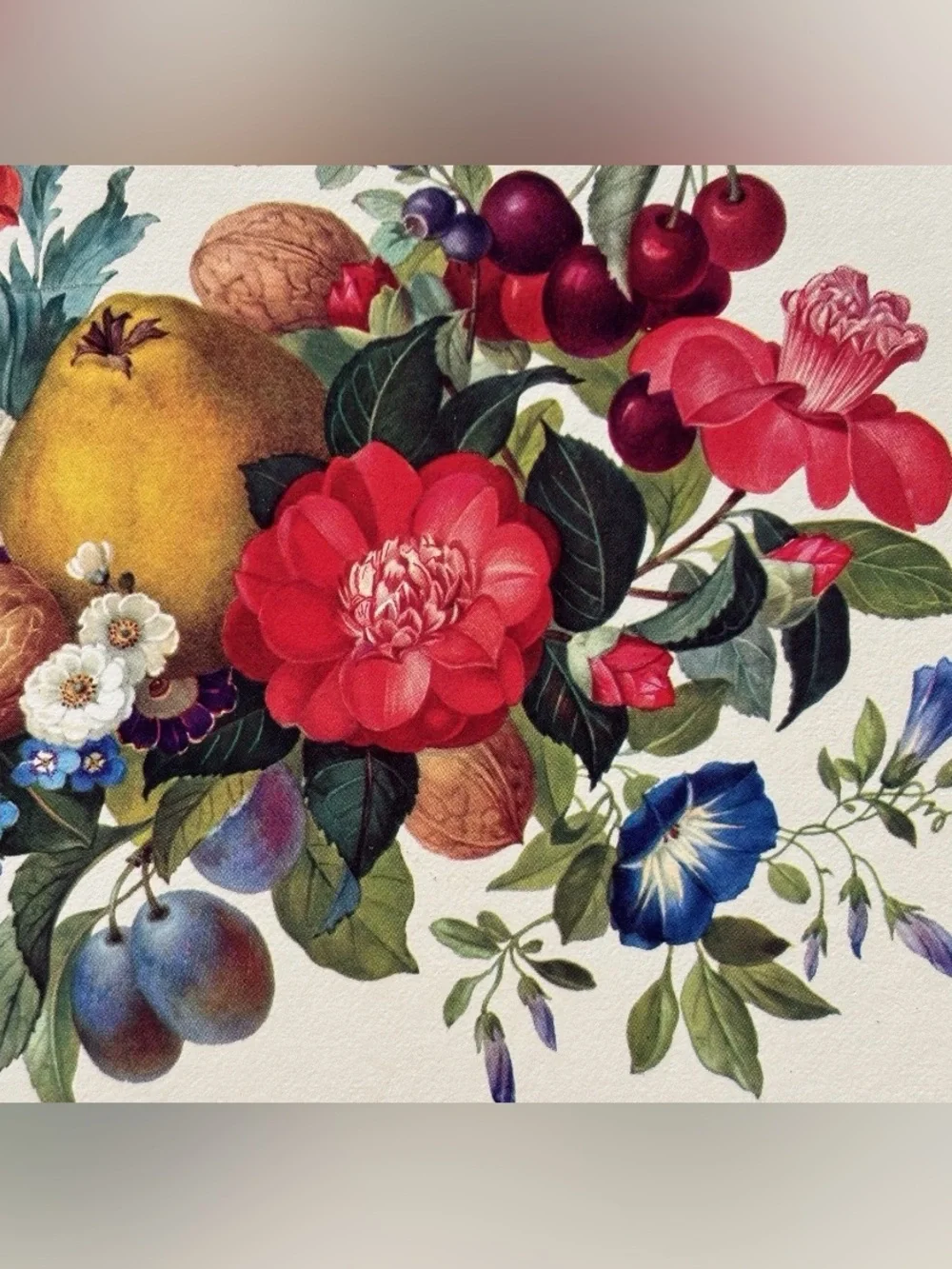 Pimpernel Vintage Botanical Meissen Floral Fruit Cork Backed Placemats Set of 4